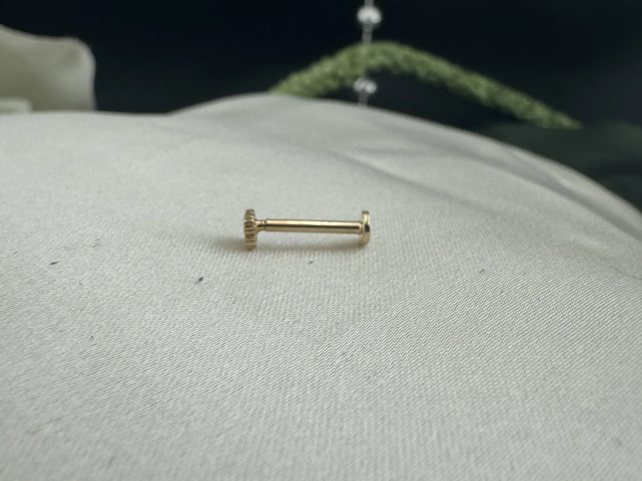 Taşlı Yonca Tragus