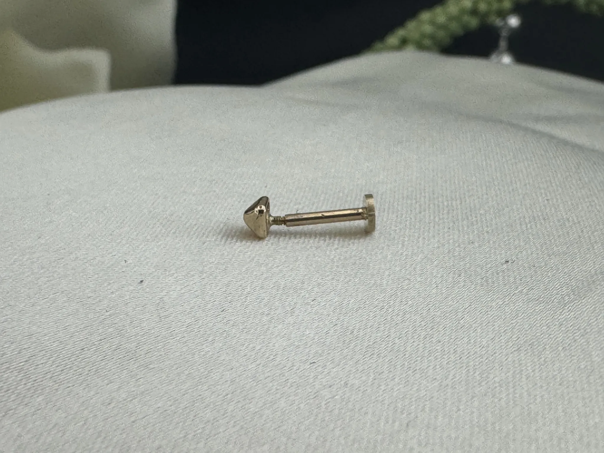 Taşsız Sade Yonca Tragus