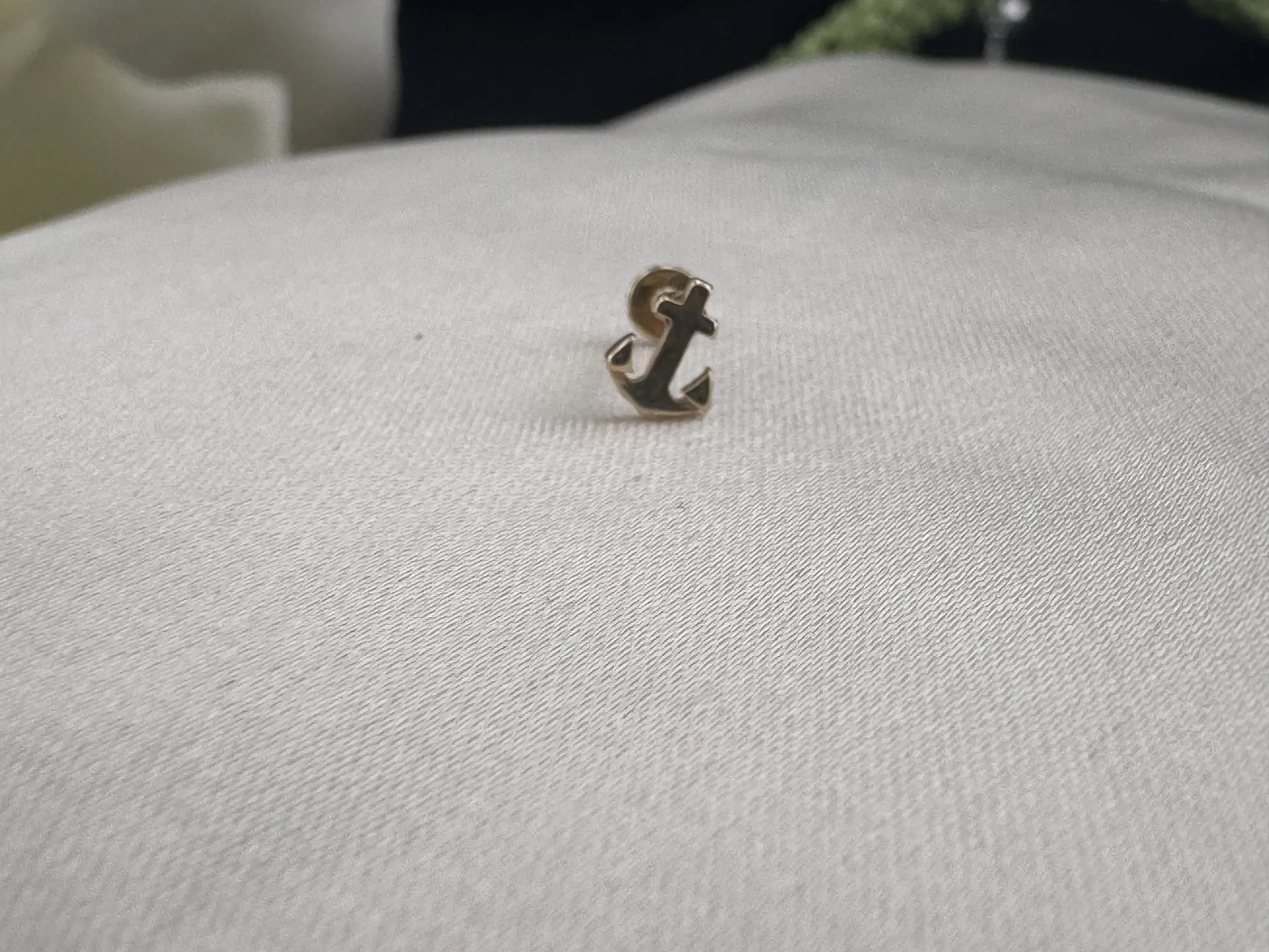 Taşsız Çapa Tragus