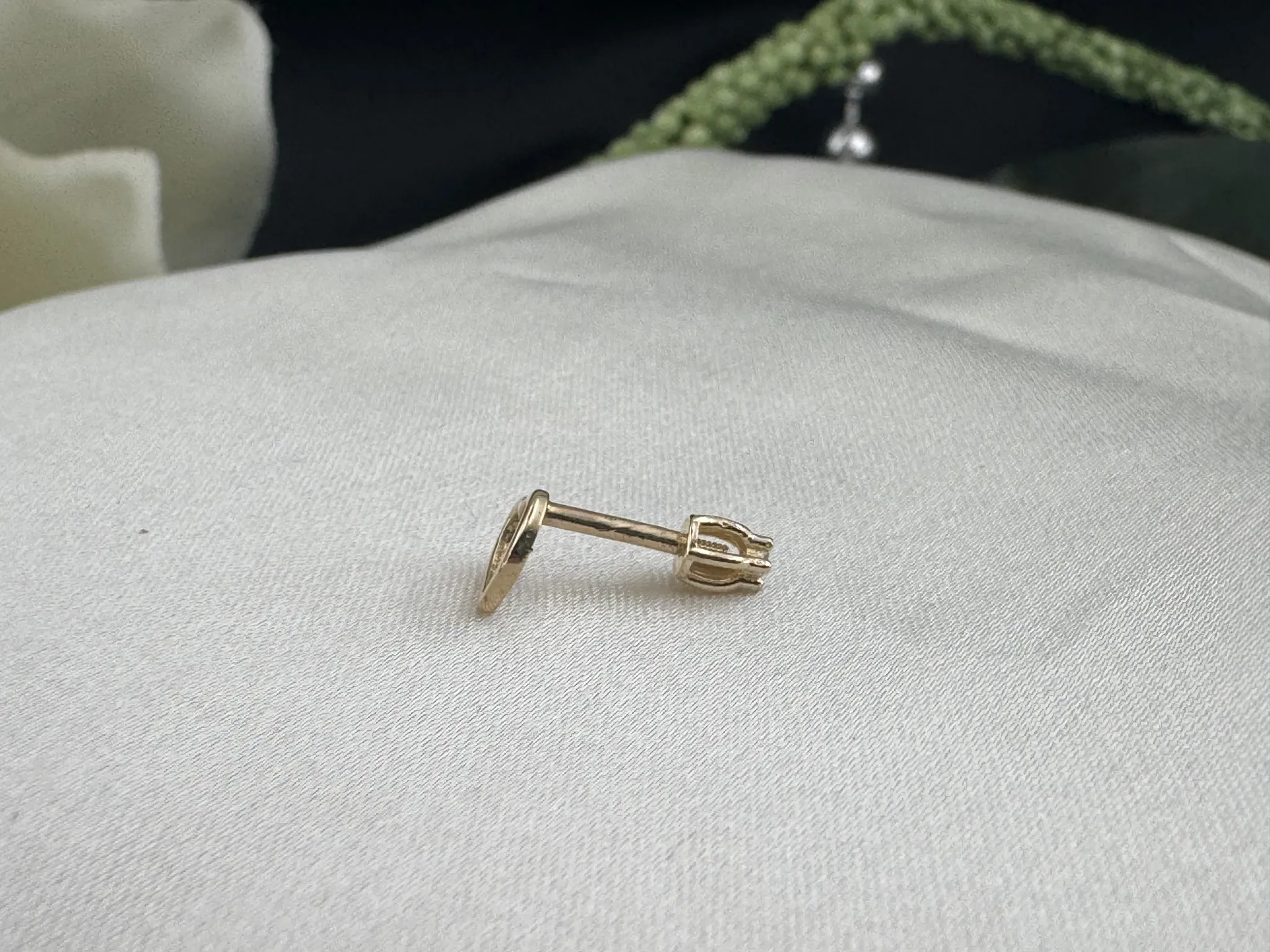 Taşsız Yonca Tragus