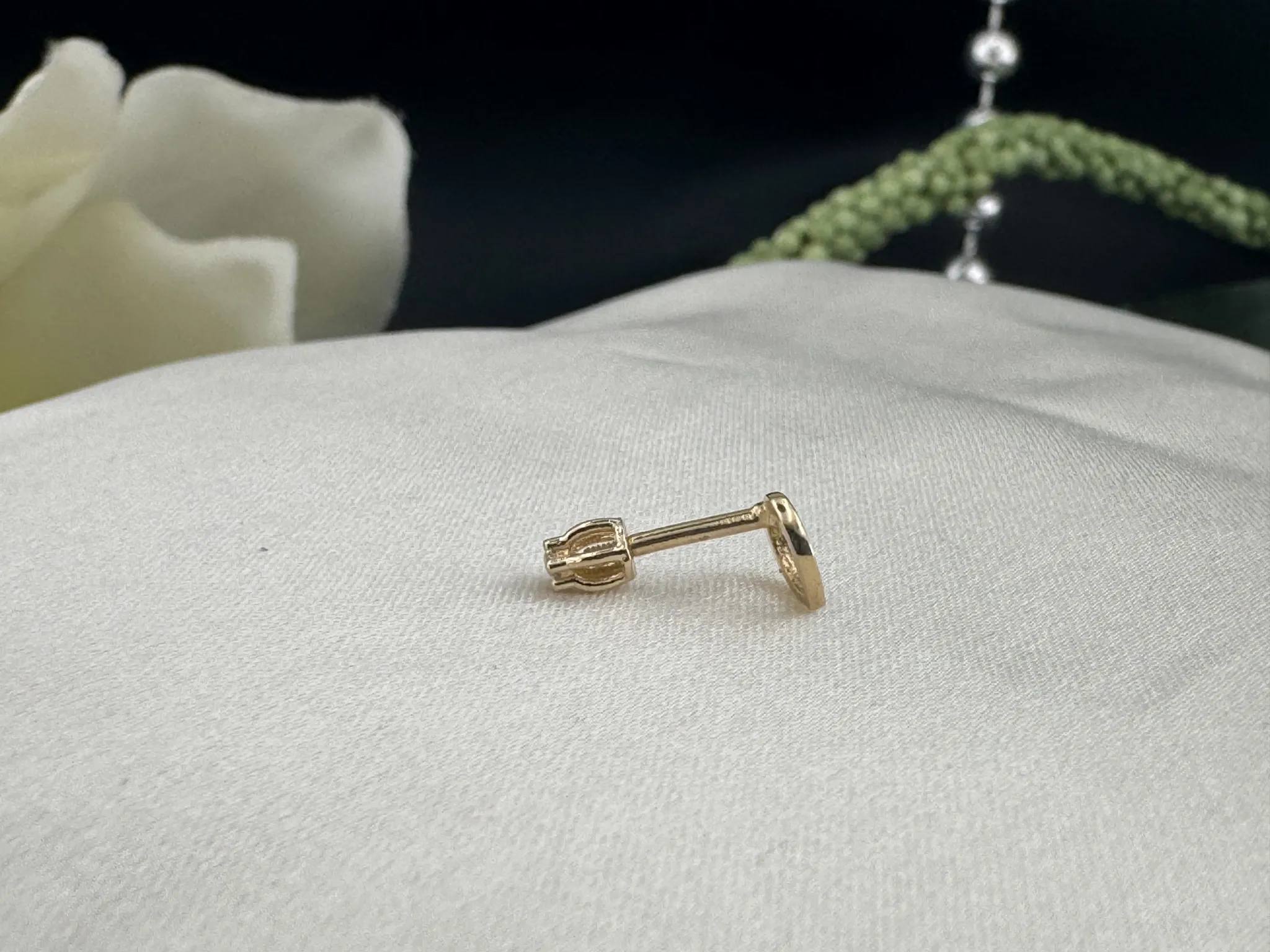 Taşsız Yonca Tragus