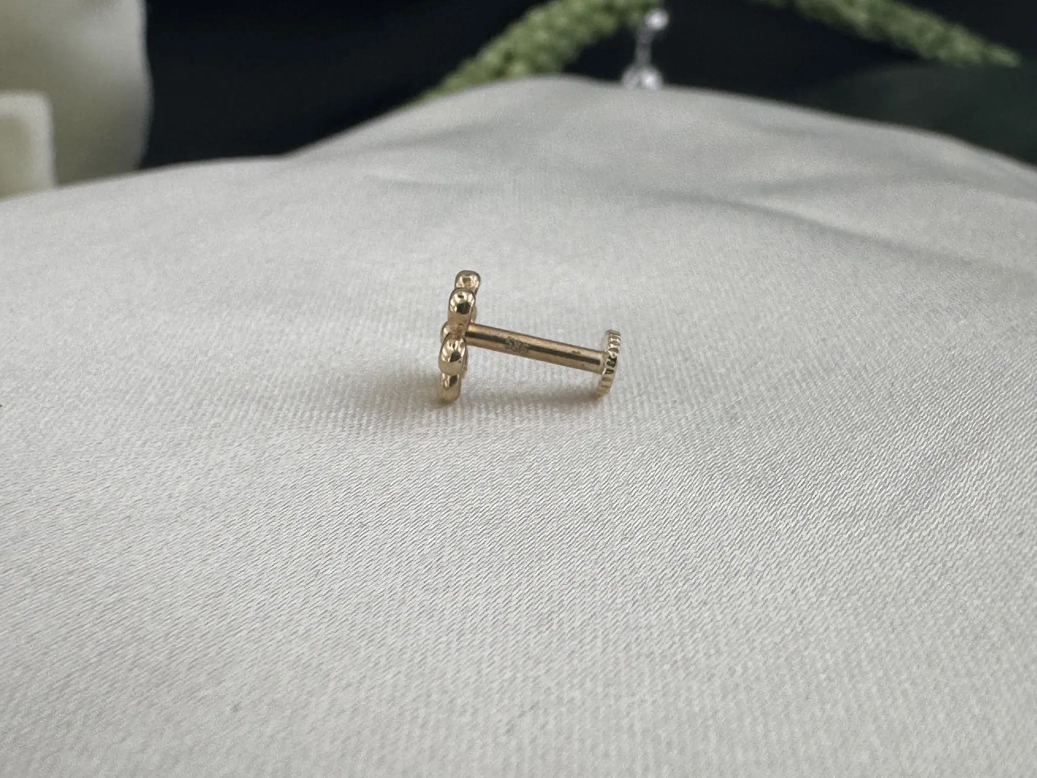Taşsız Aşk Düğümü Tragus