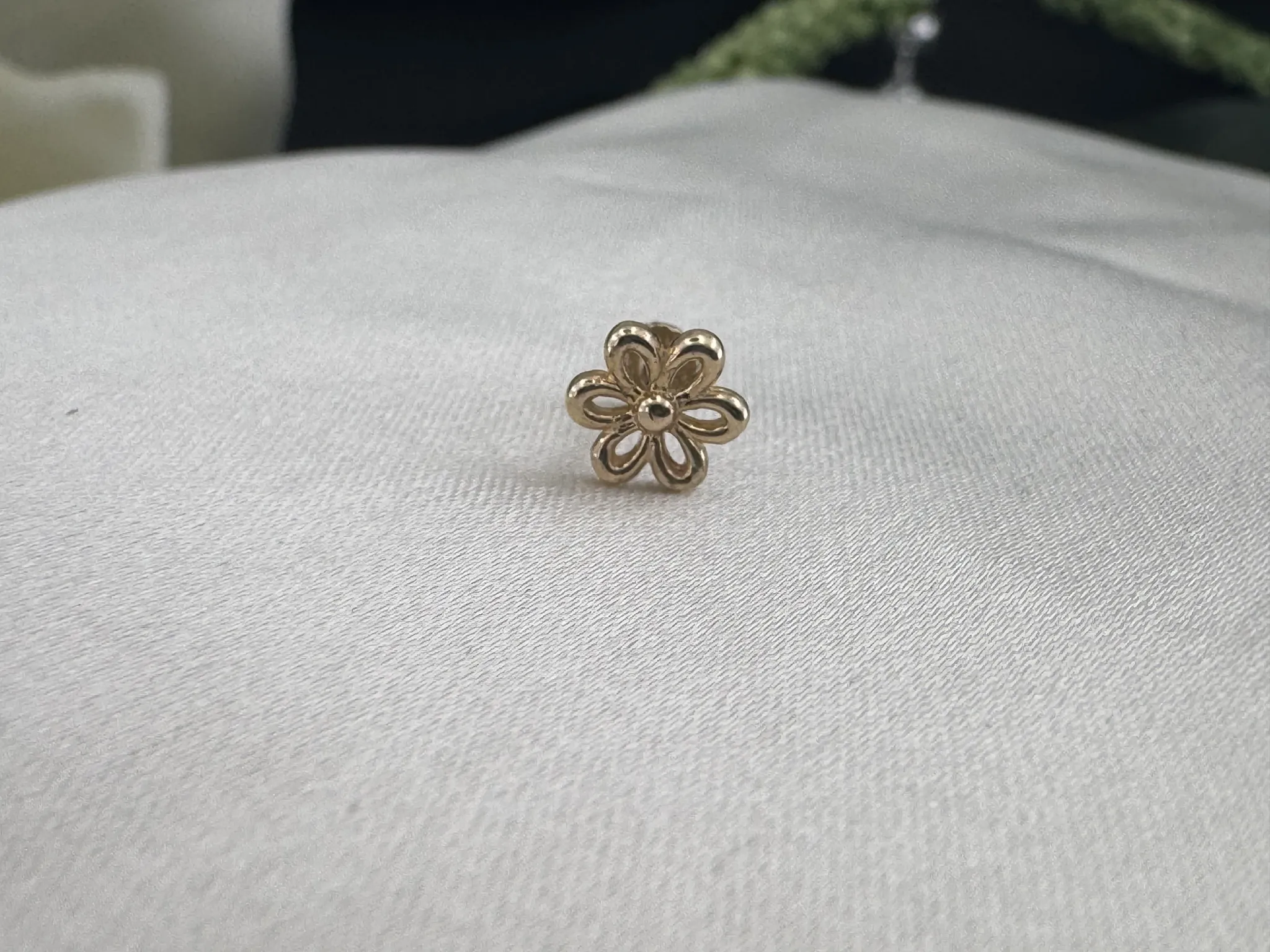 Taşsız Çiçek Tragus