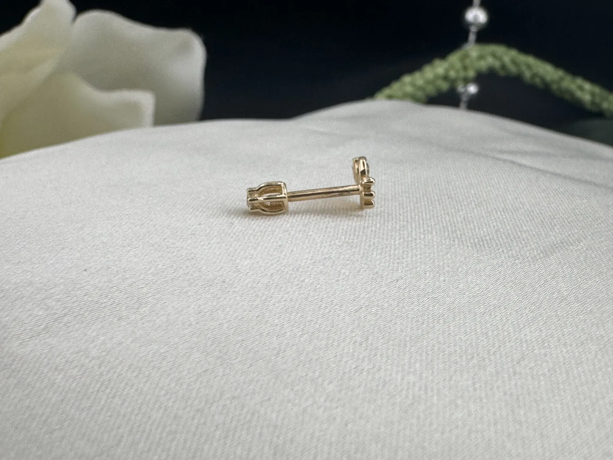 Taşsız Şimşek Tragus
