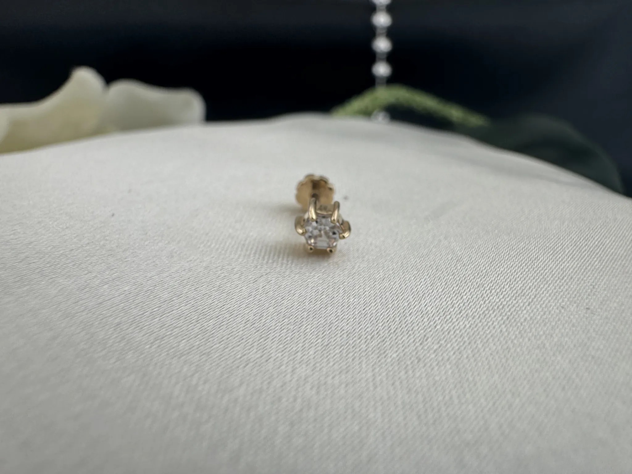 6 Tırnaklı Tektaş Tragus