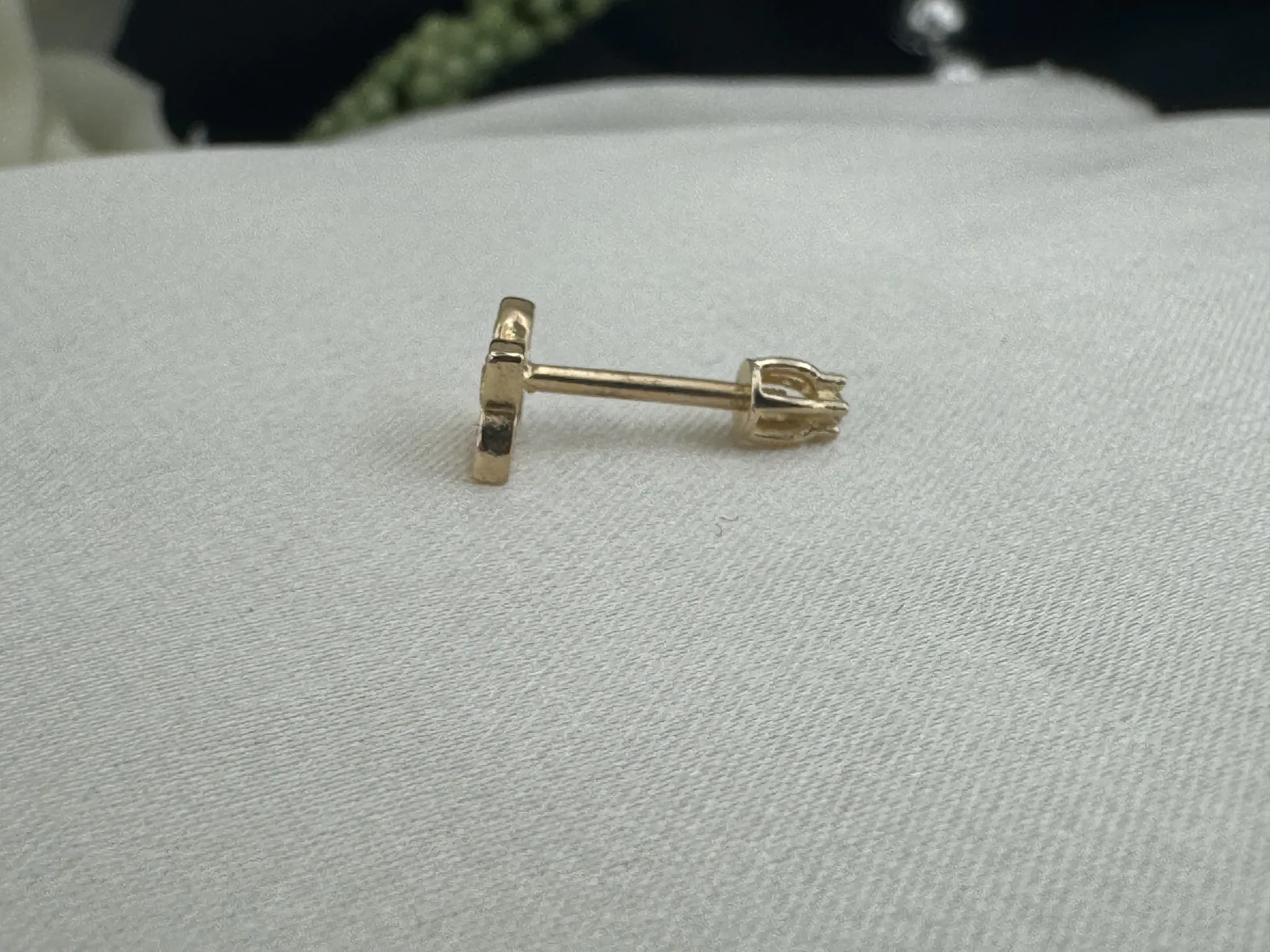 Taşlı Tragus
