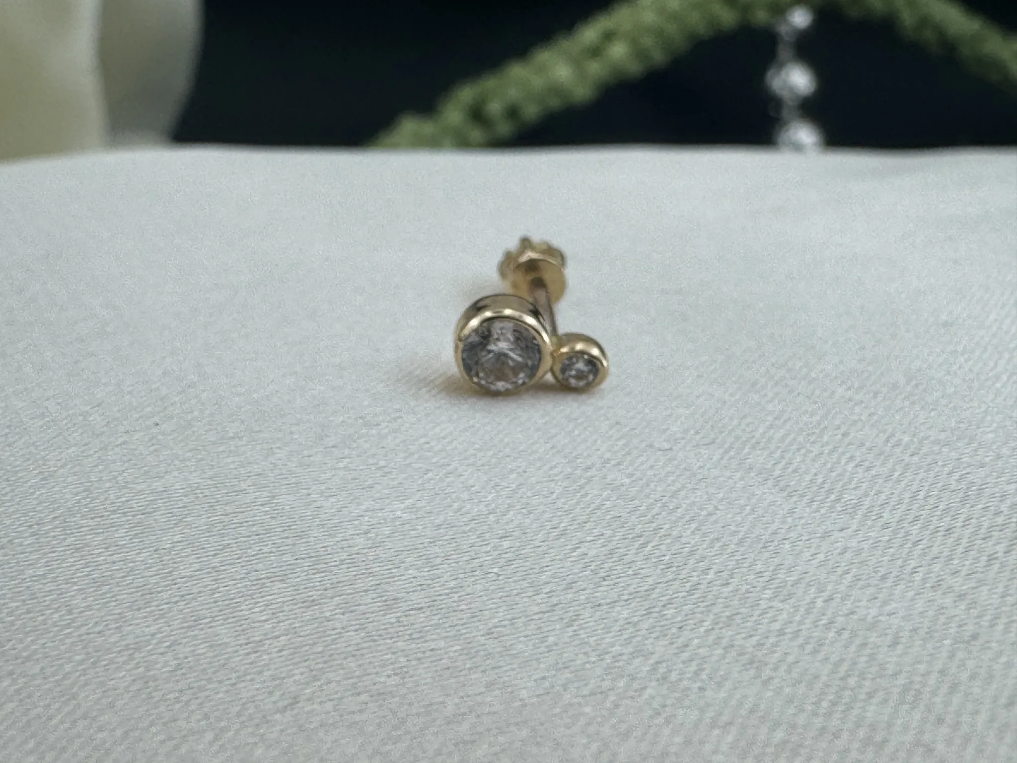 Taşlı Tragus