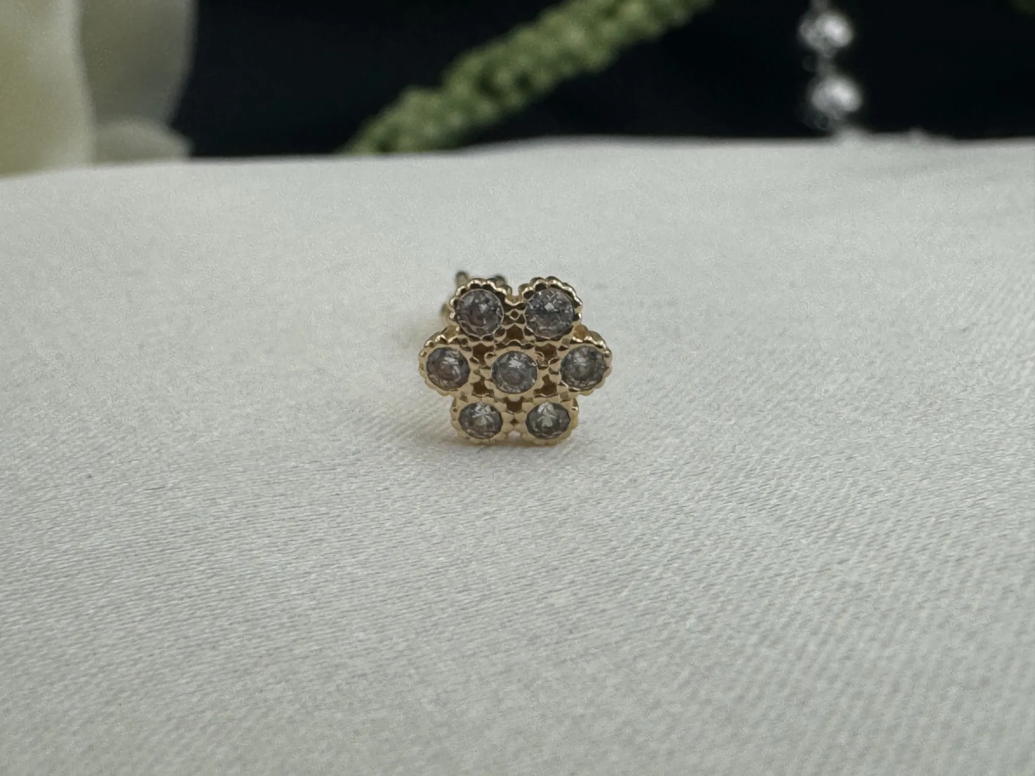 Taşlı Papatya Tragus