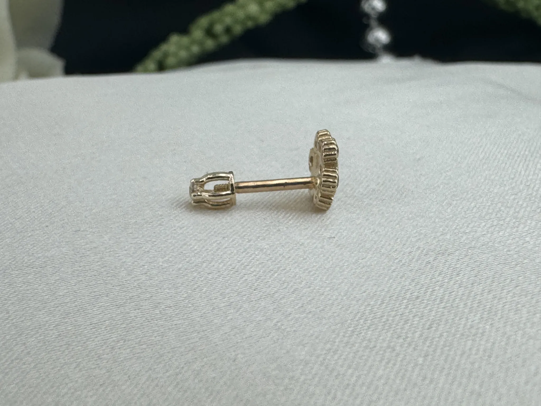 Taşlı Papatya Tragus