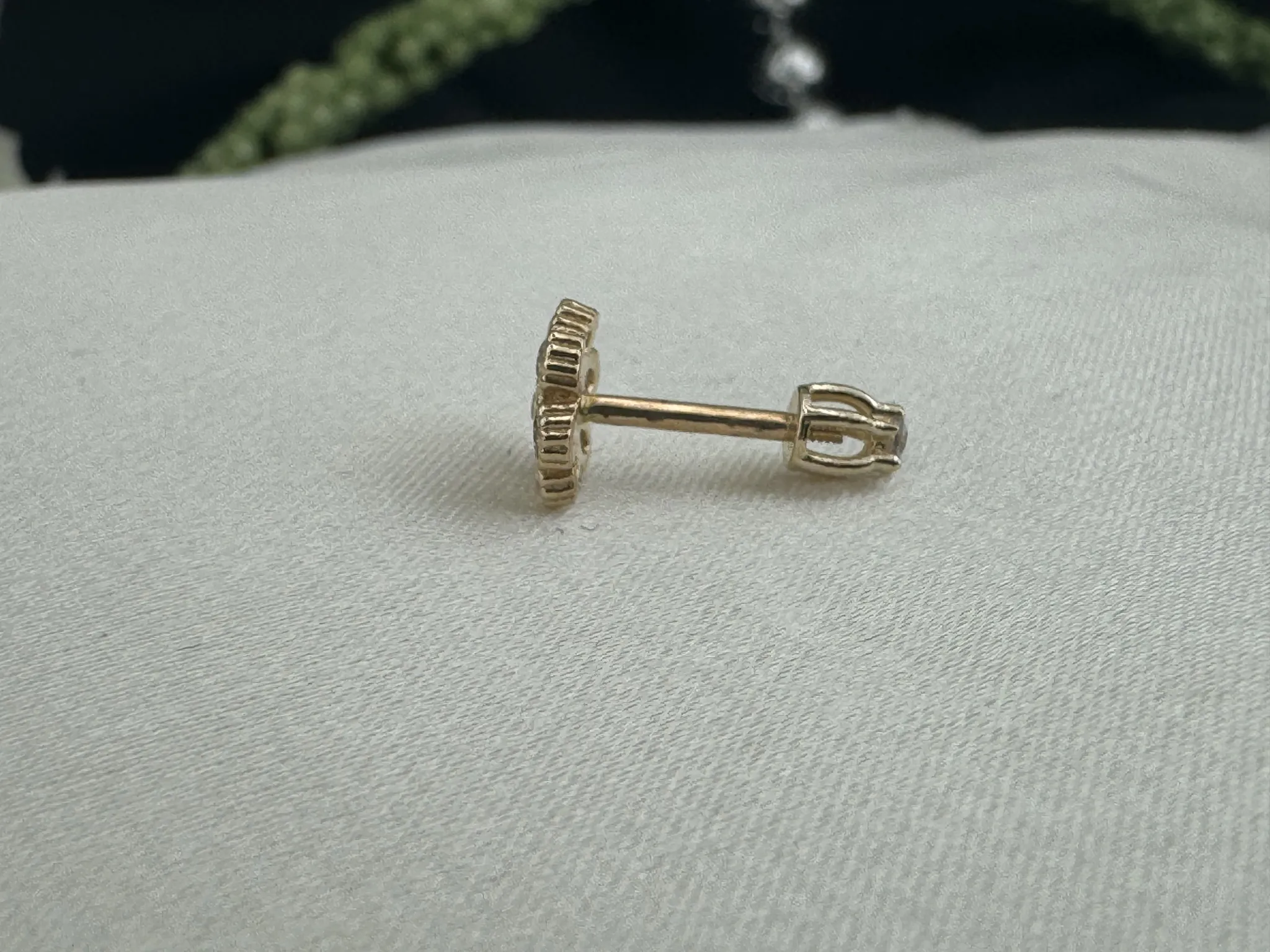 Taşlı Papatya Tragus