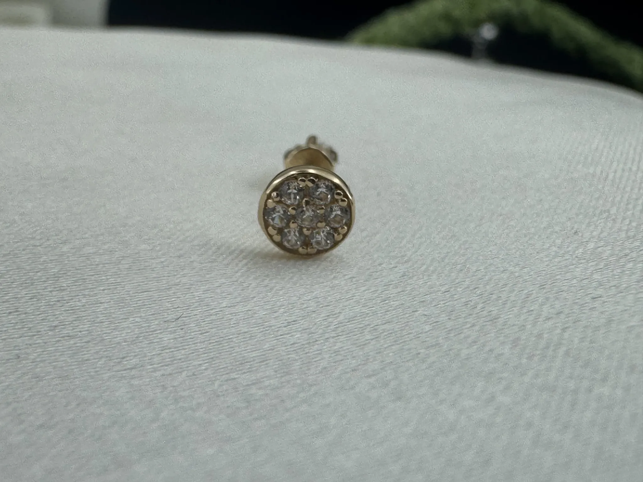 Taşlı Tragus