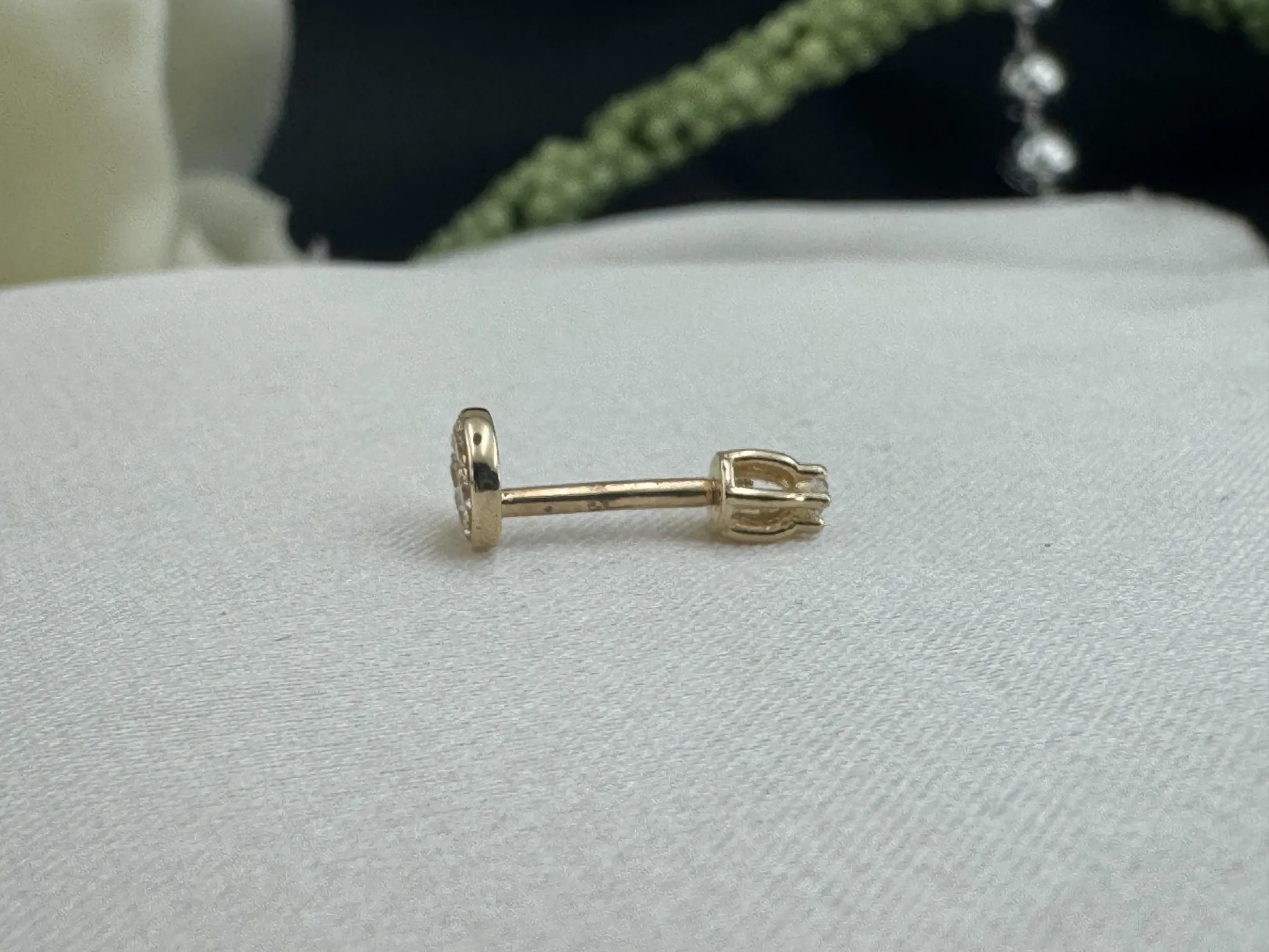 Taşlı Tragus