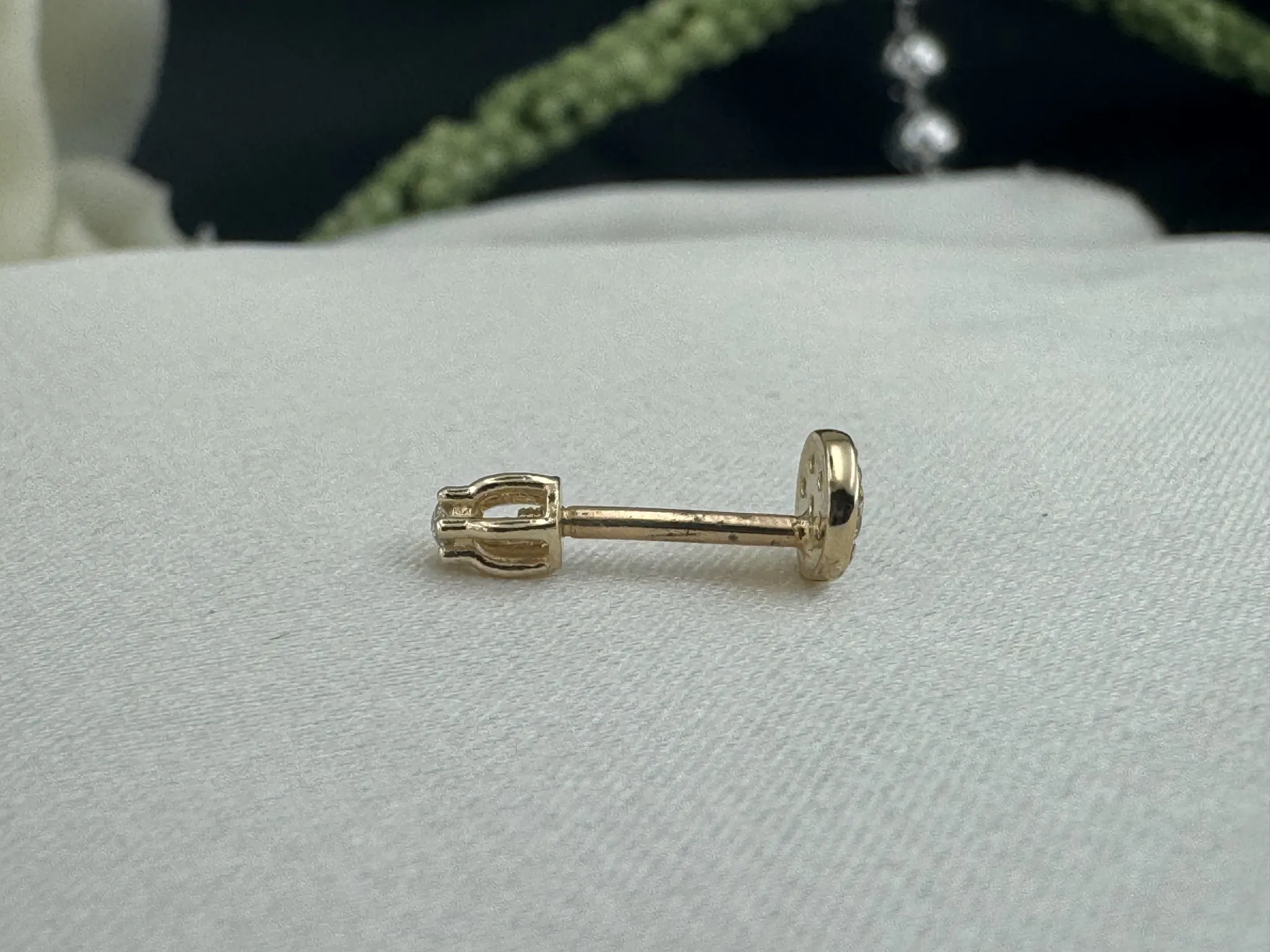 Taşlı Tragus