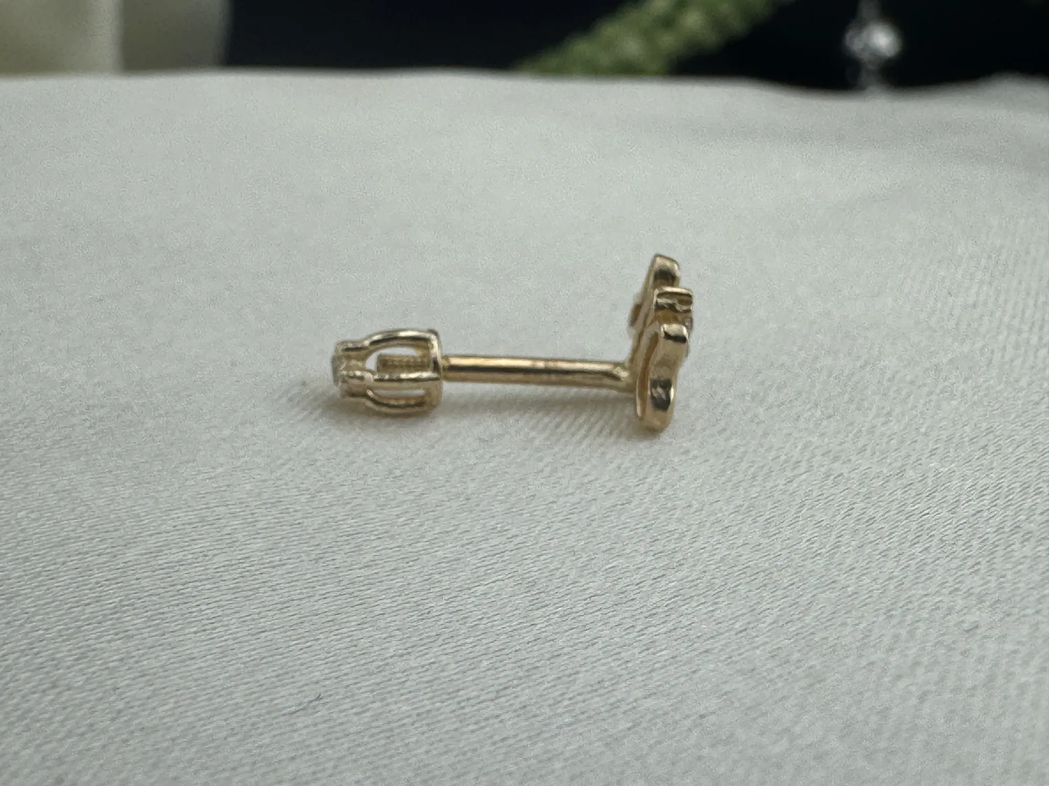 Taşlı Yusufcuk Tragus