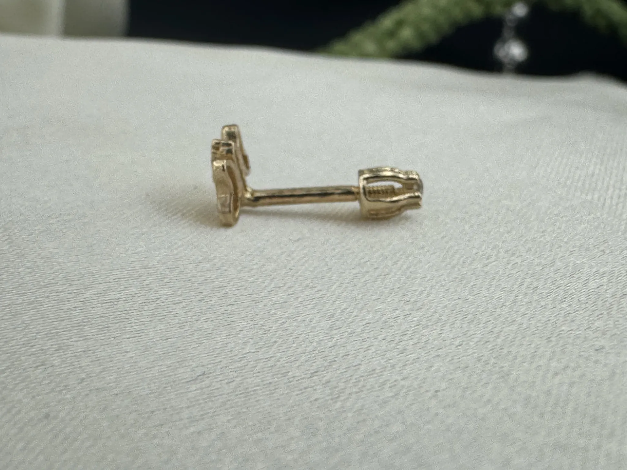 Taşlı Yusufcuk Tragus