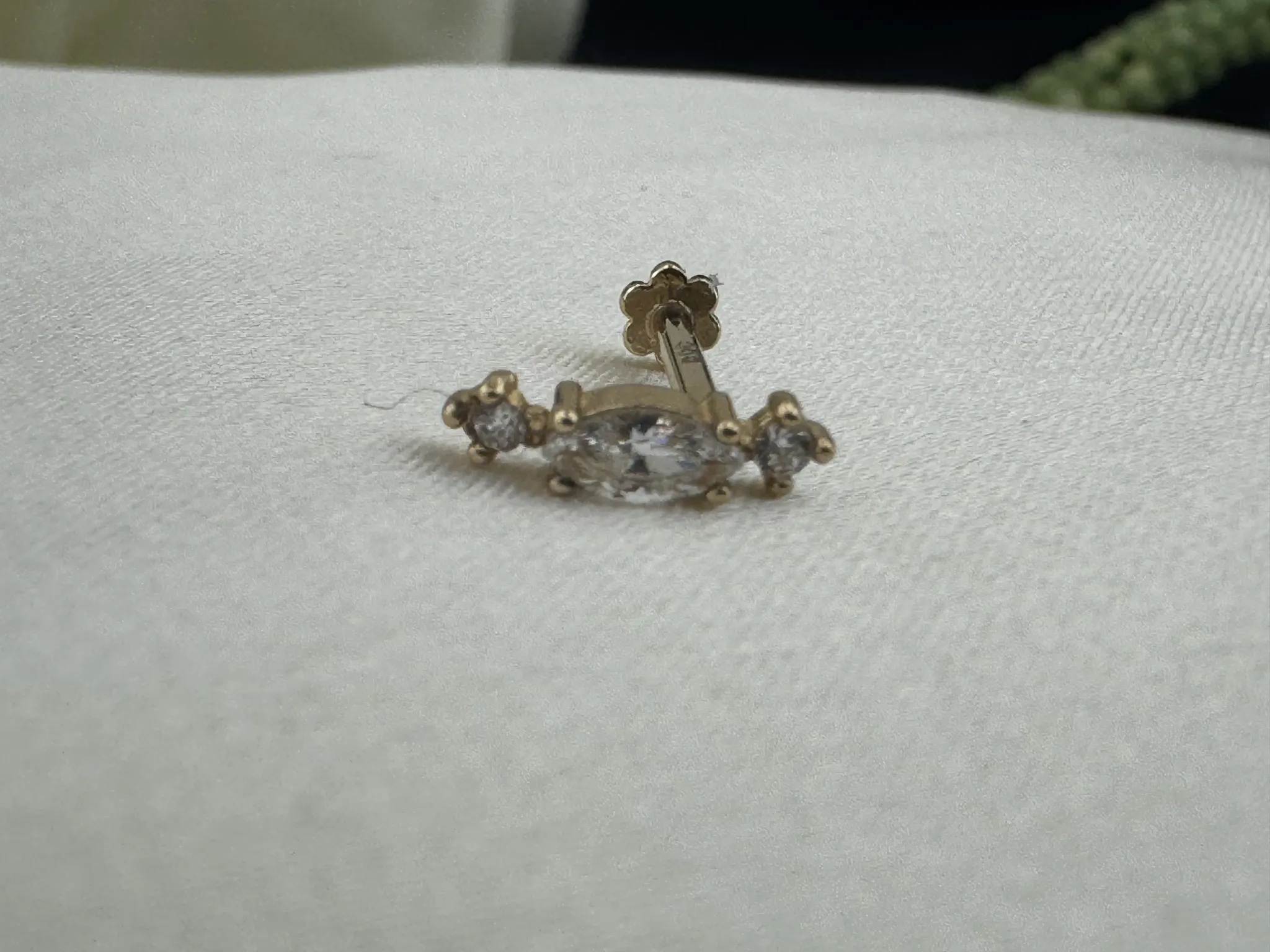 Taşlı Tragus