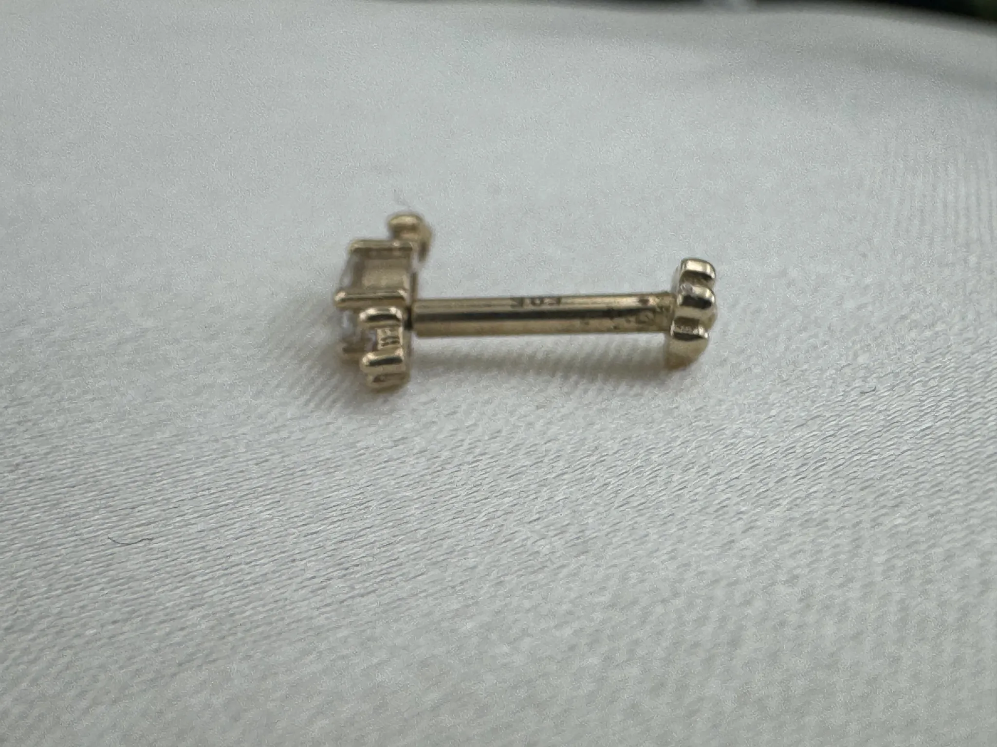 Taşlı Tragus