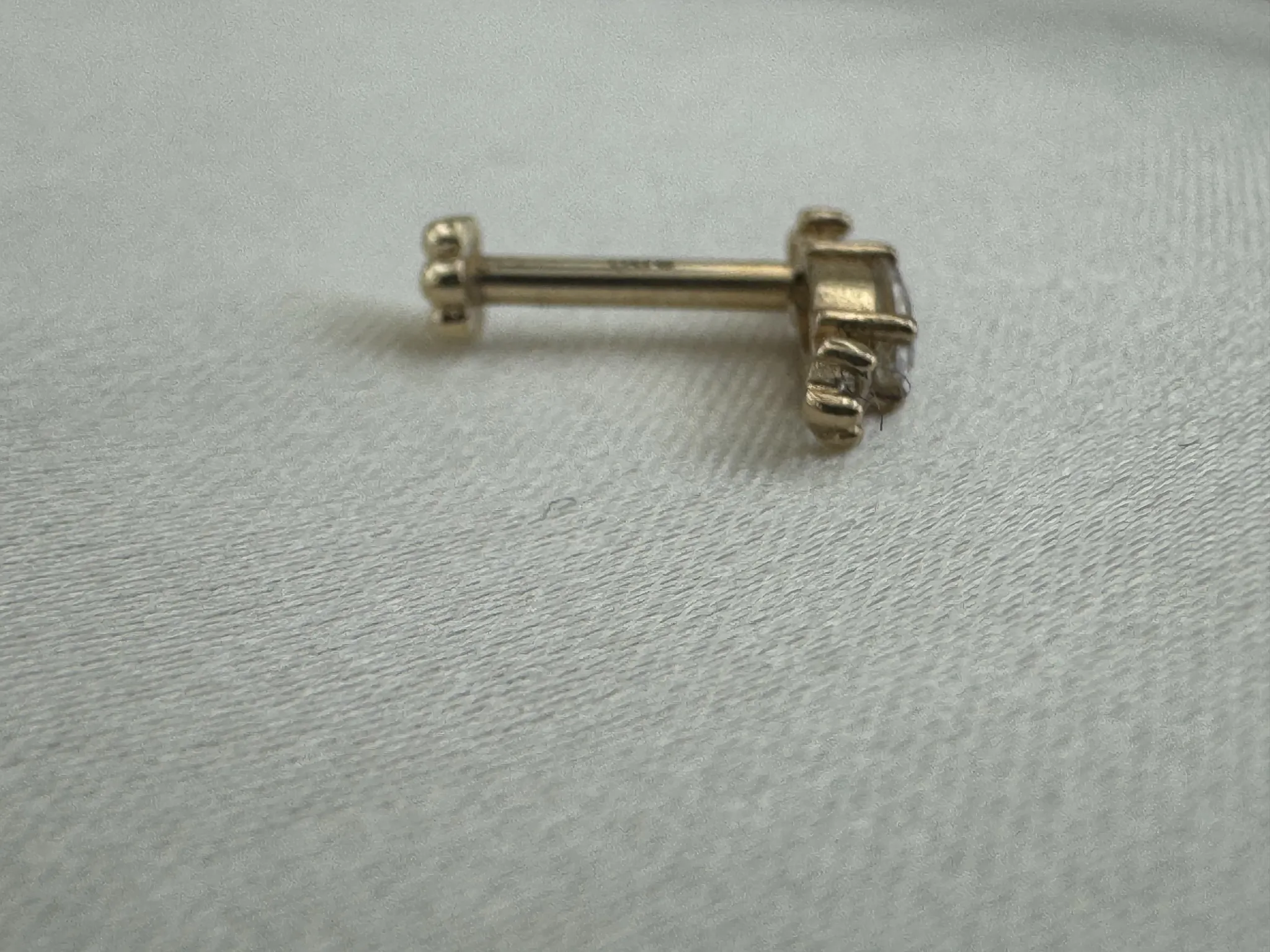 Taşlı Tragus