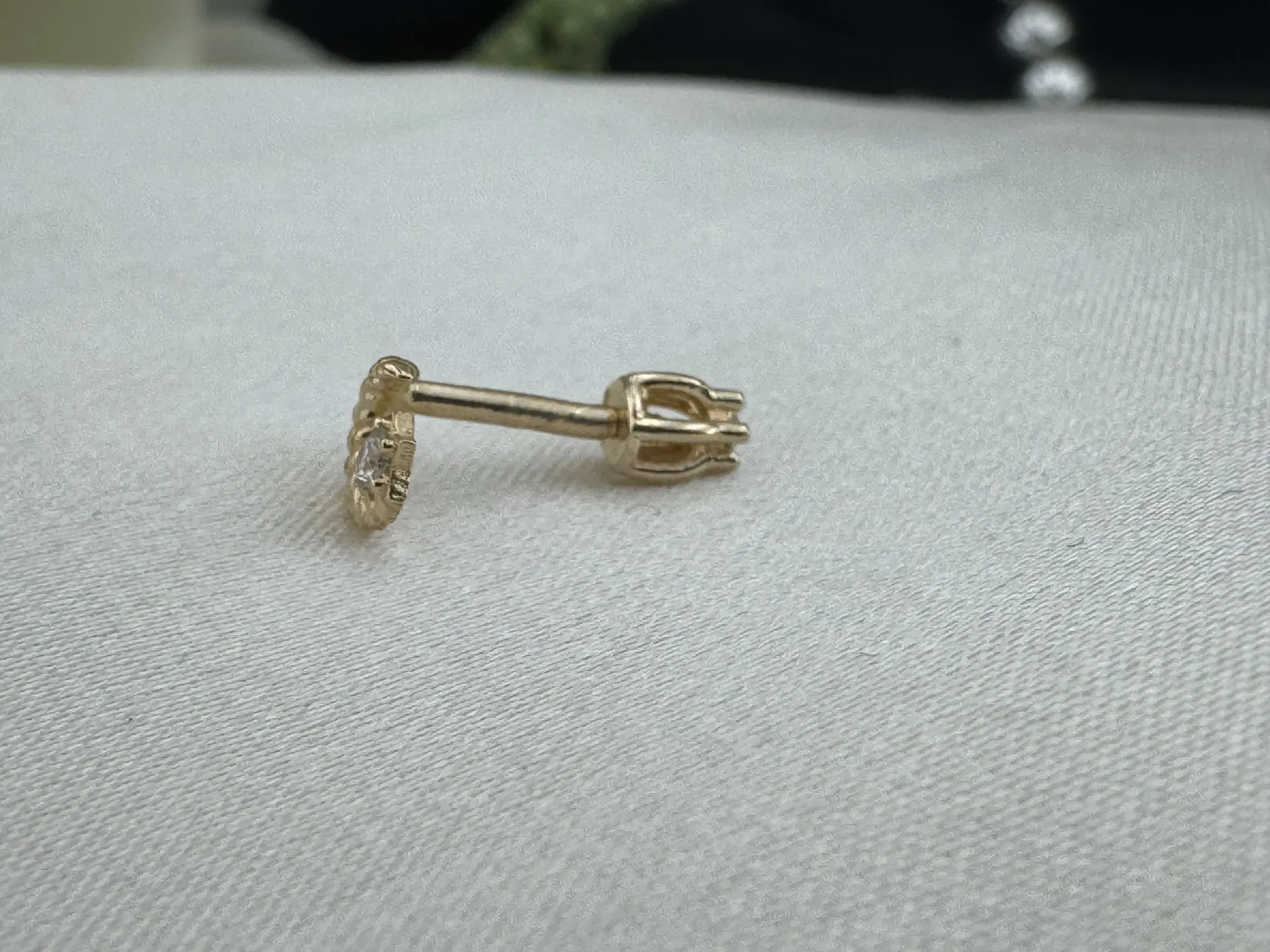 Taşlı Ayyıldız Tragus