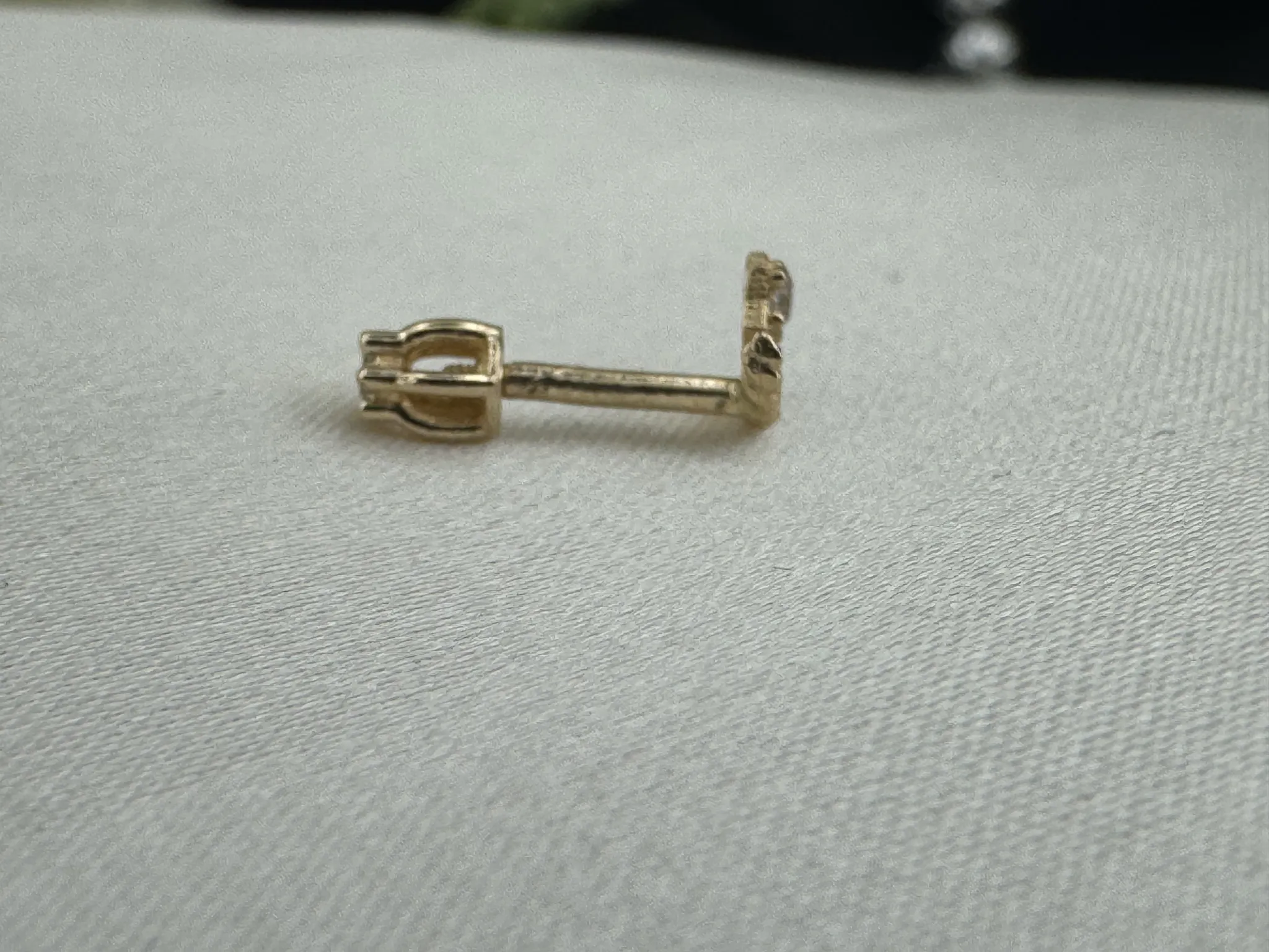Taşlı Ayyıldız Tragus