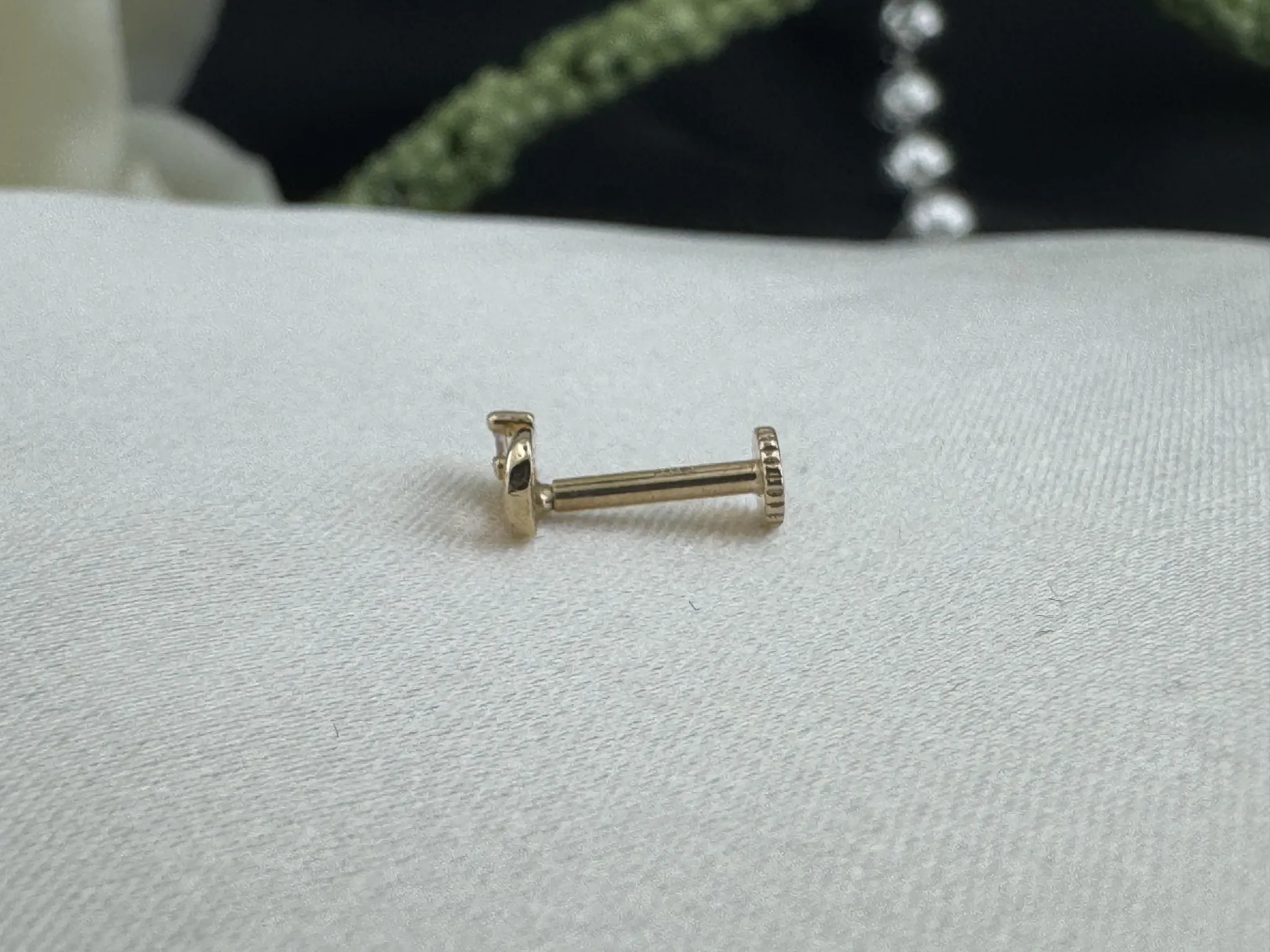 Taşlı Tragus