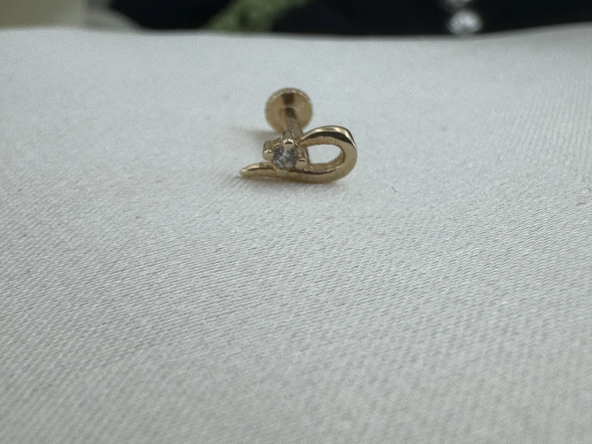 Taşlı Tragus