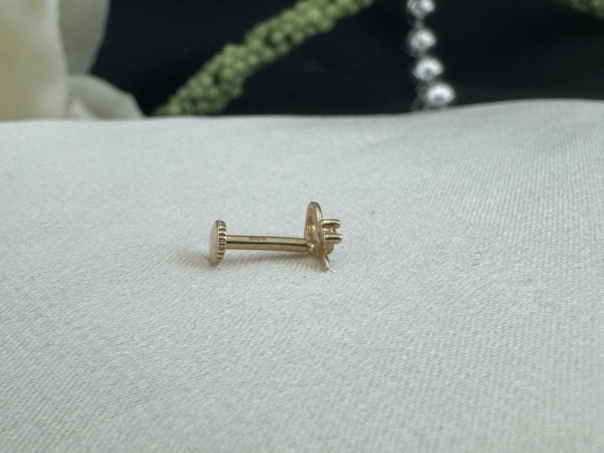 Taşlı Tragus