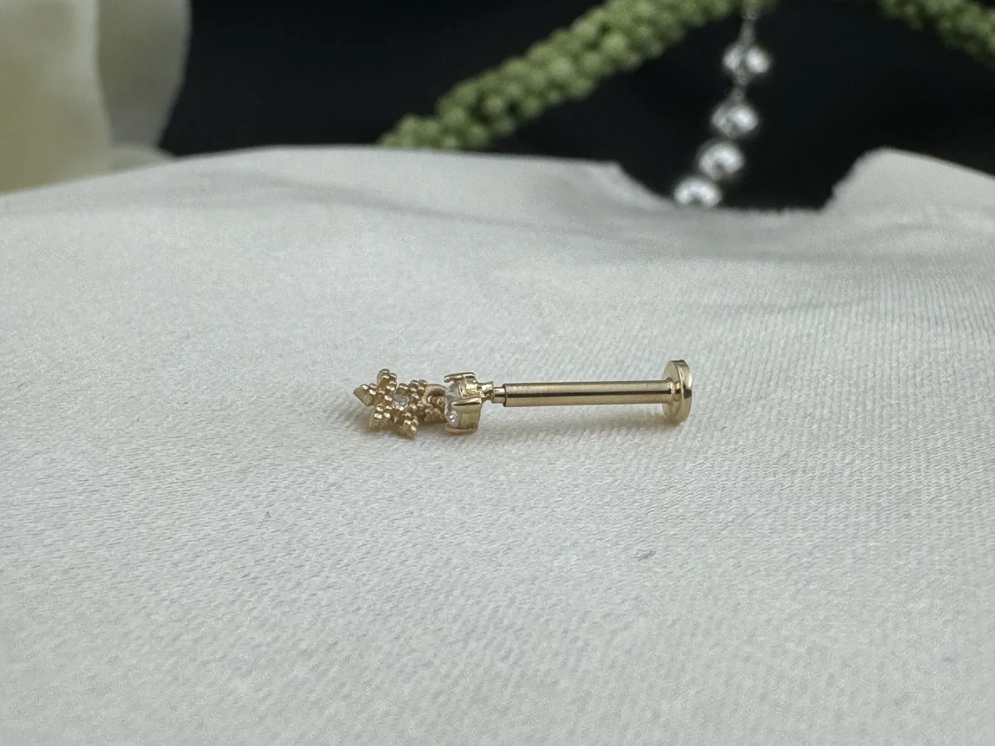 Taşlı Minik Tragus