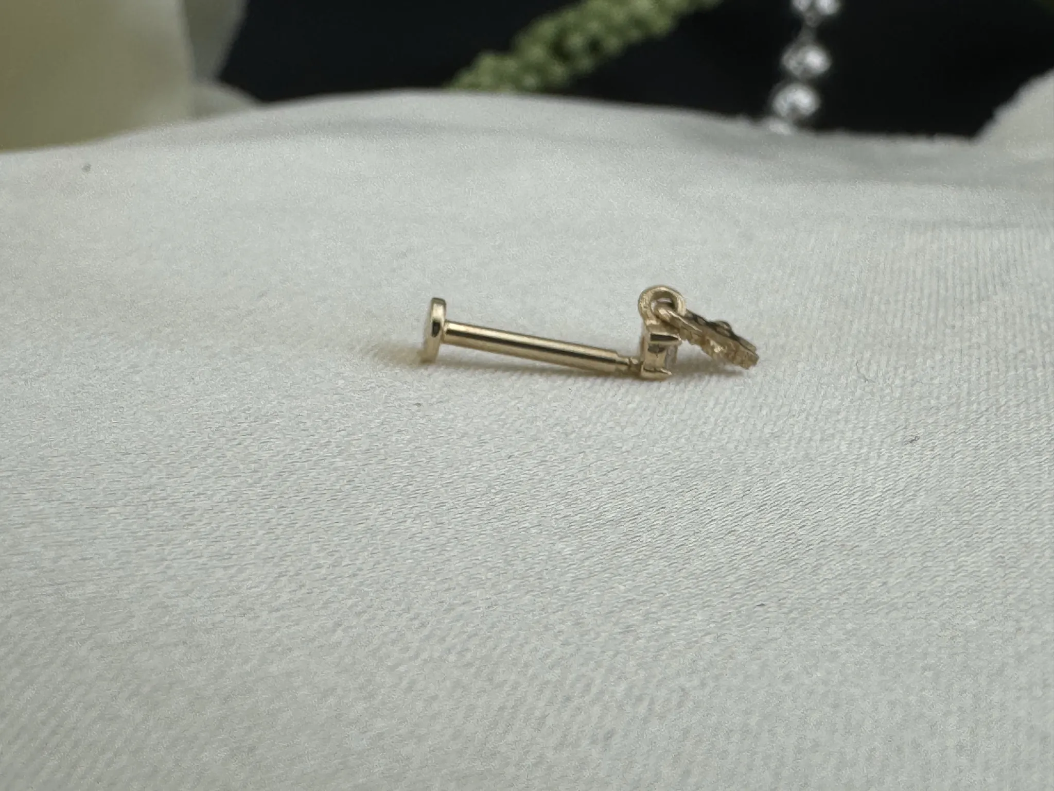 Taşlı Minik Tragus