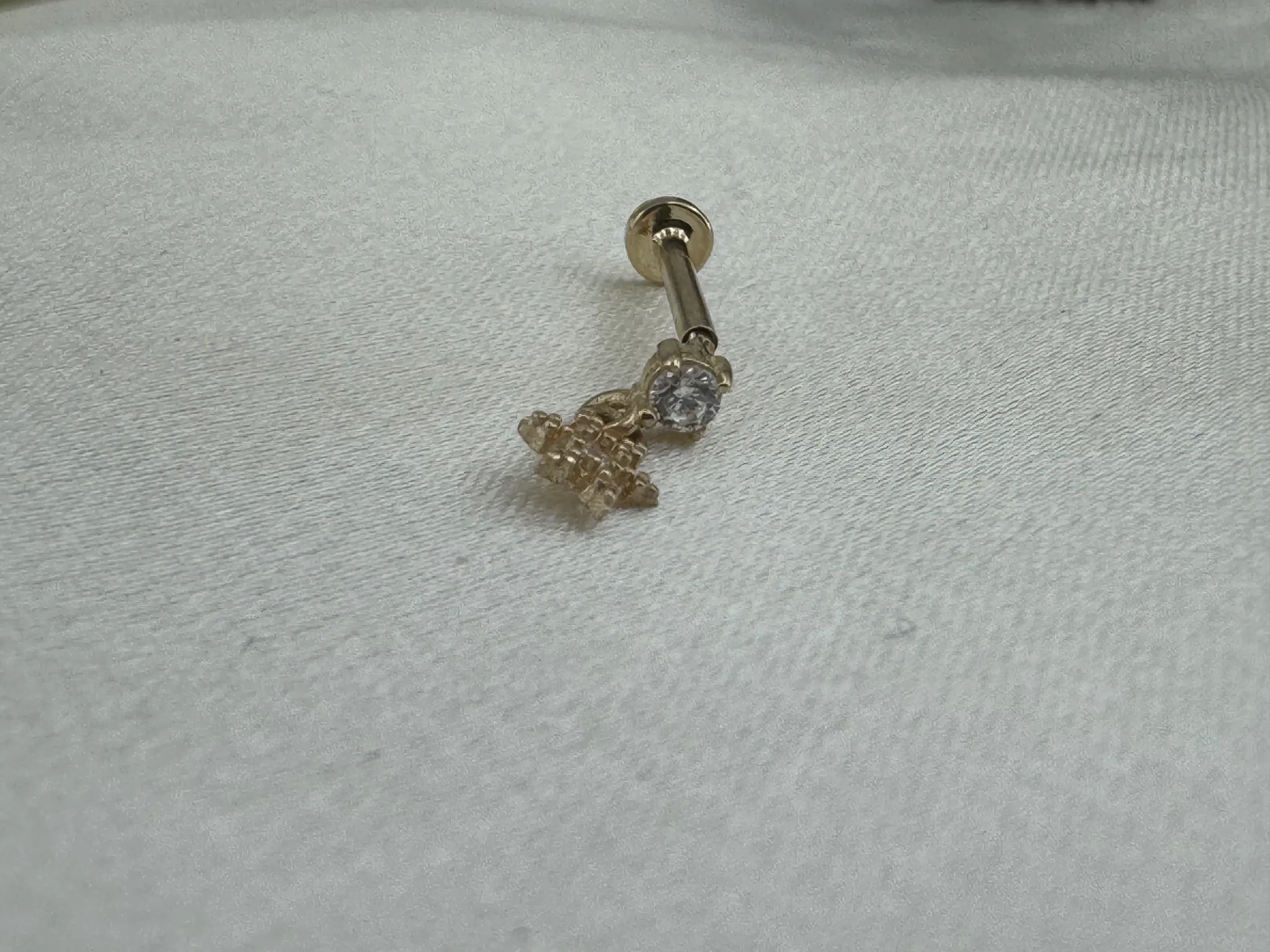 Taşlı Minik Tragus