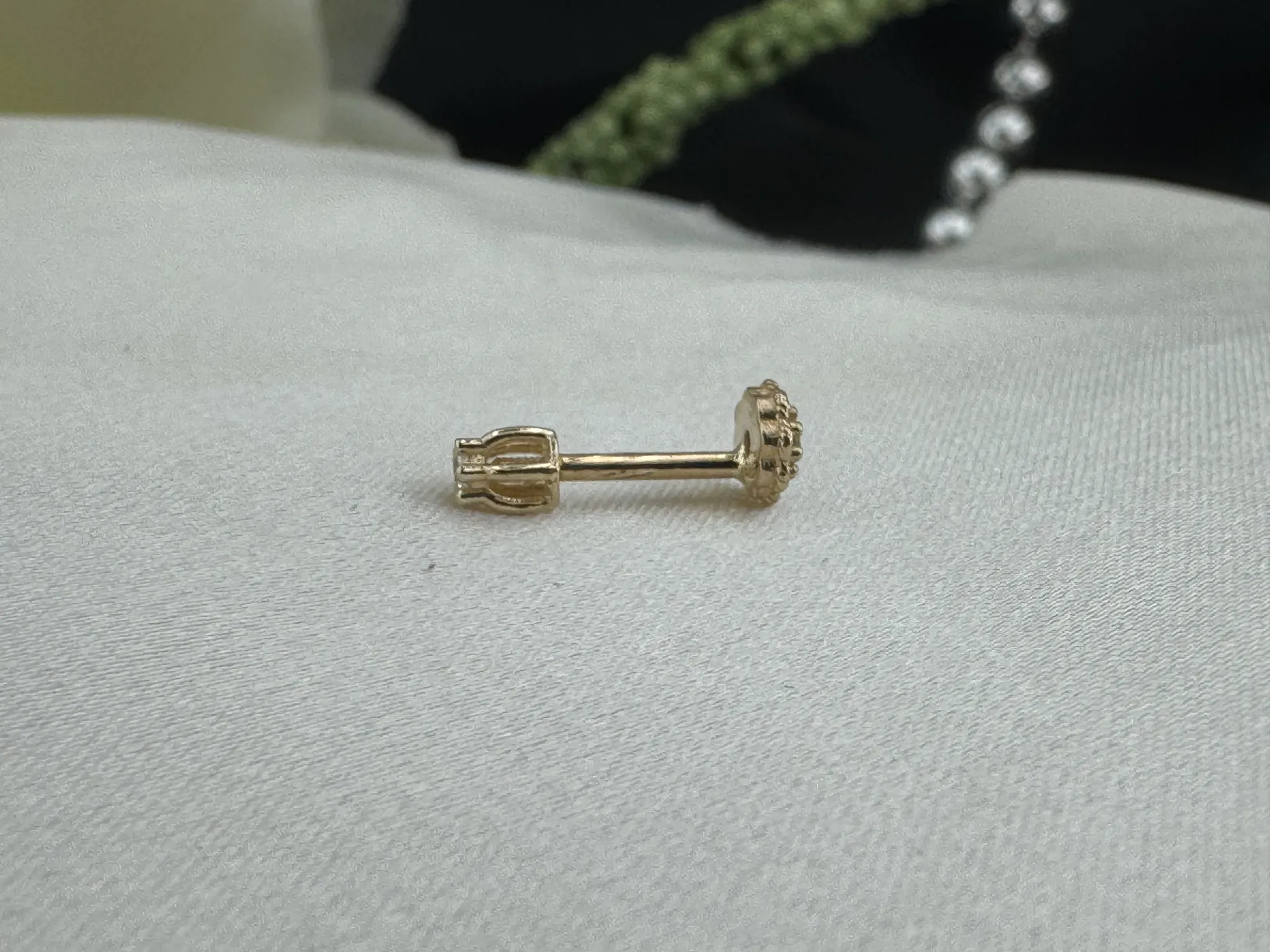 Taşlı Papatya Tragus