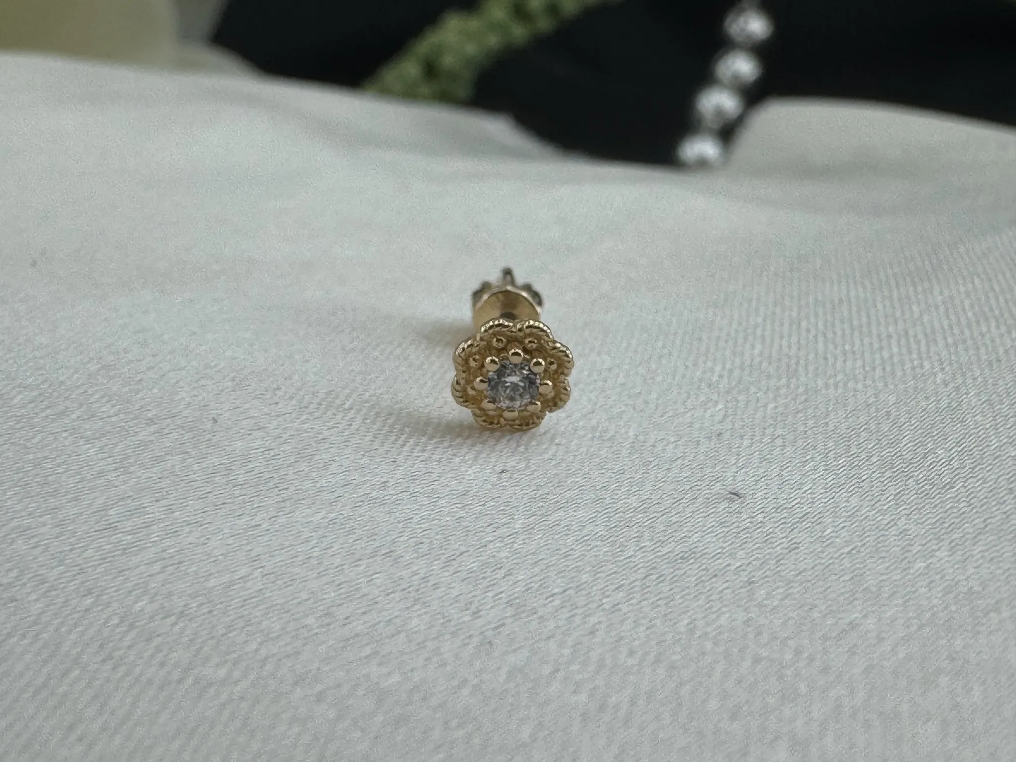 Taşlı Papatya Tragus
