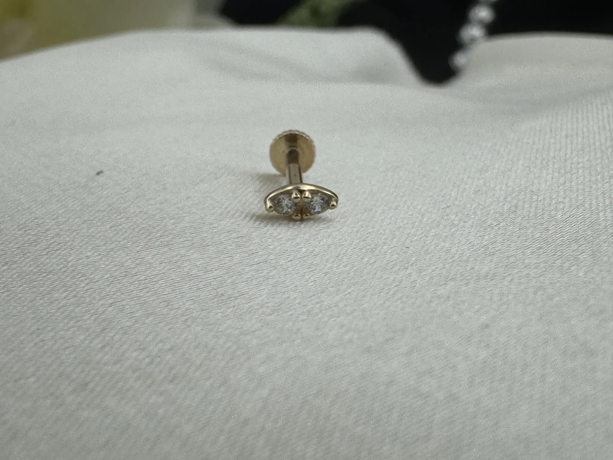 Taşlı Tragus