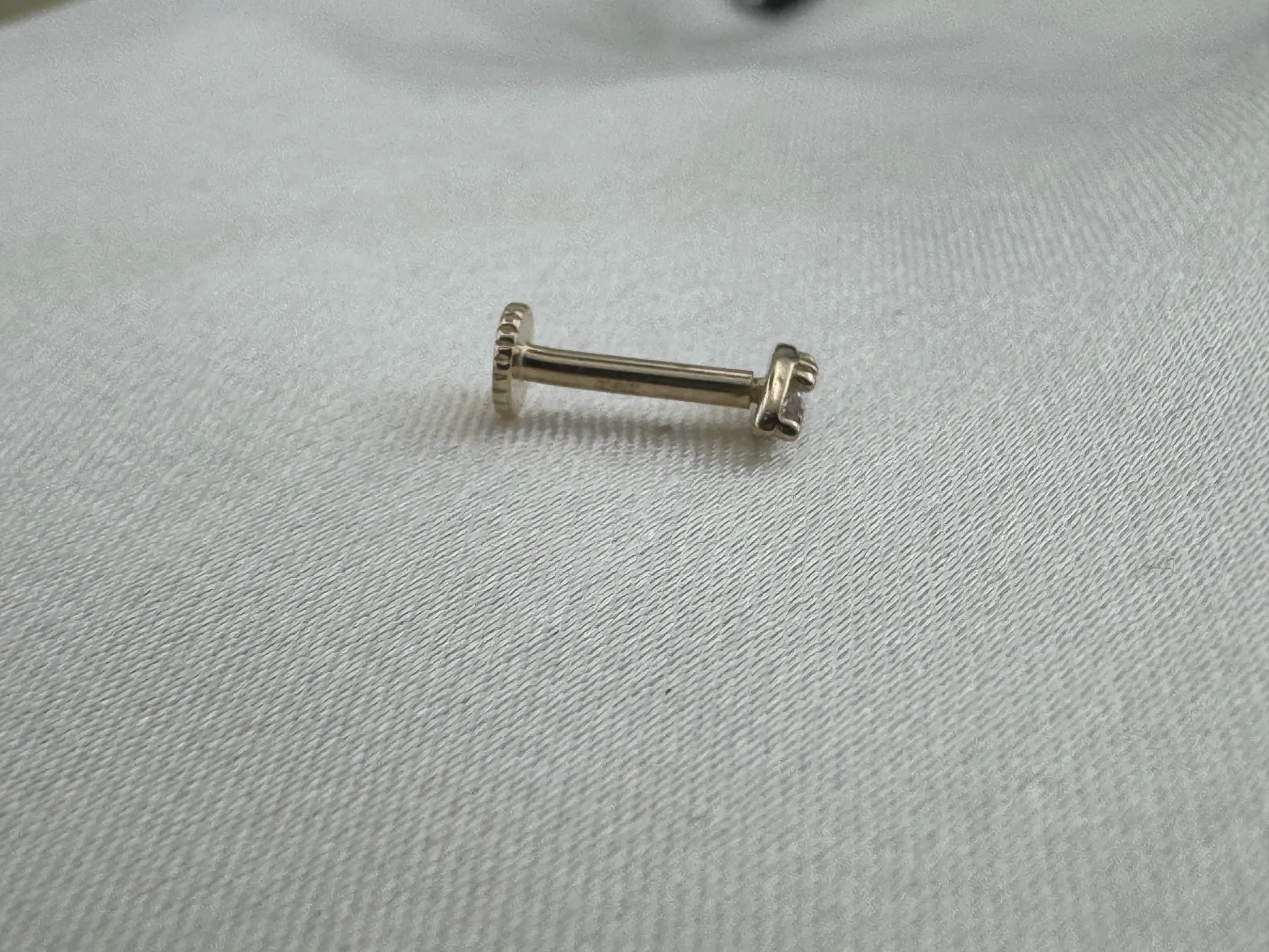 Taşlı Tragus