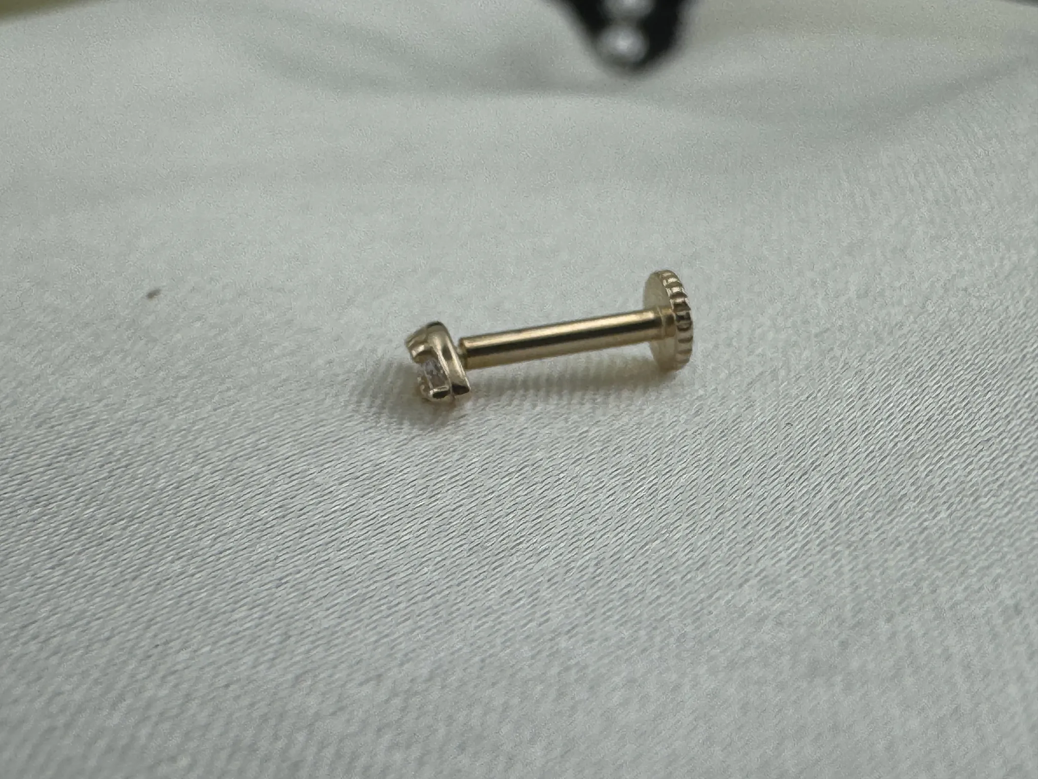 Taşlı Tragus