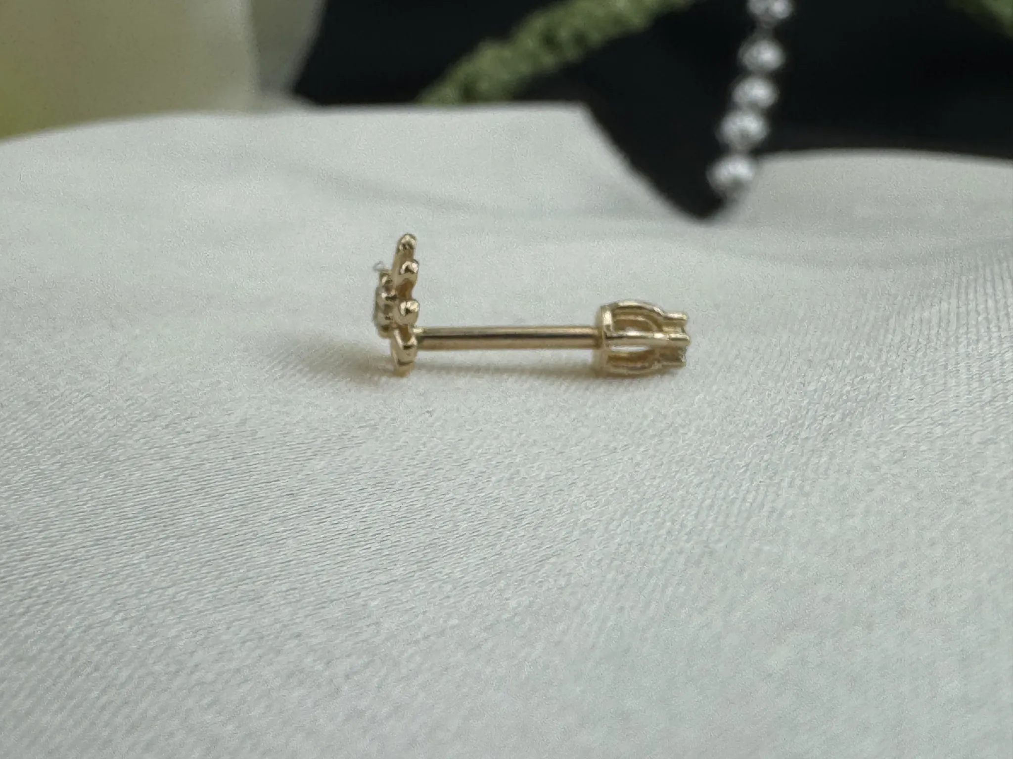 Taşlı Çiçek Tragus