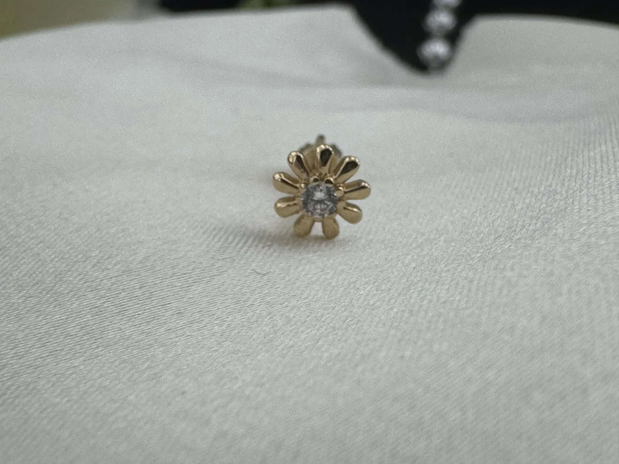 Taşlı Çiçek Tragus