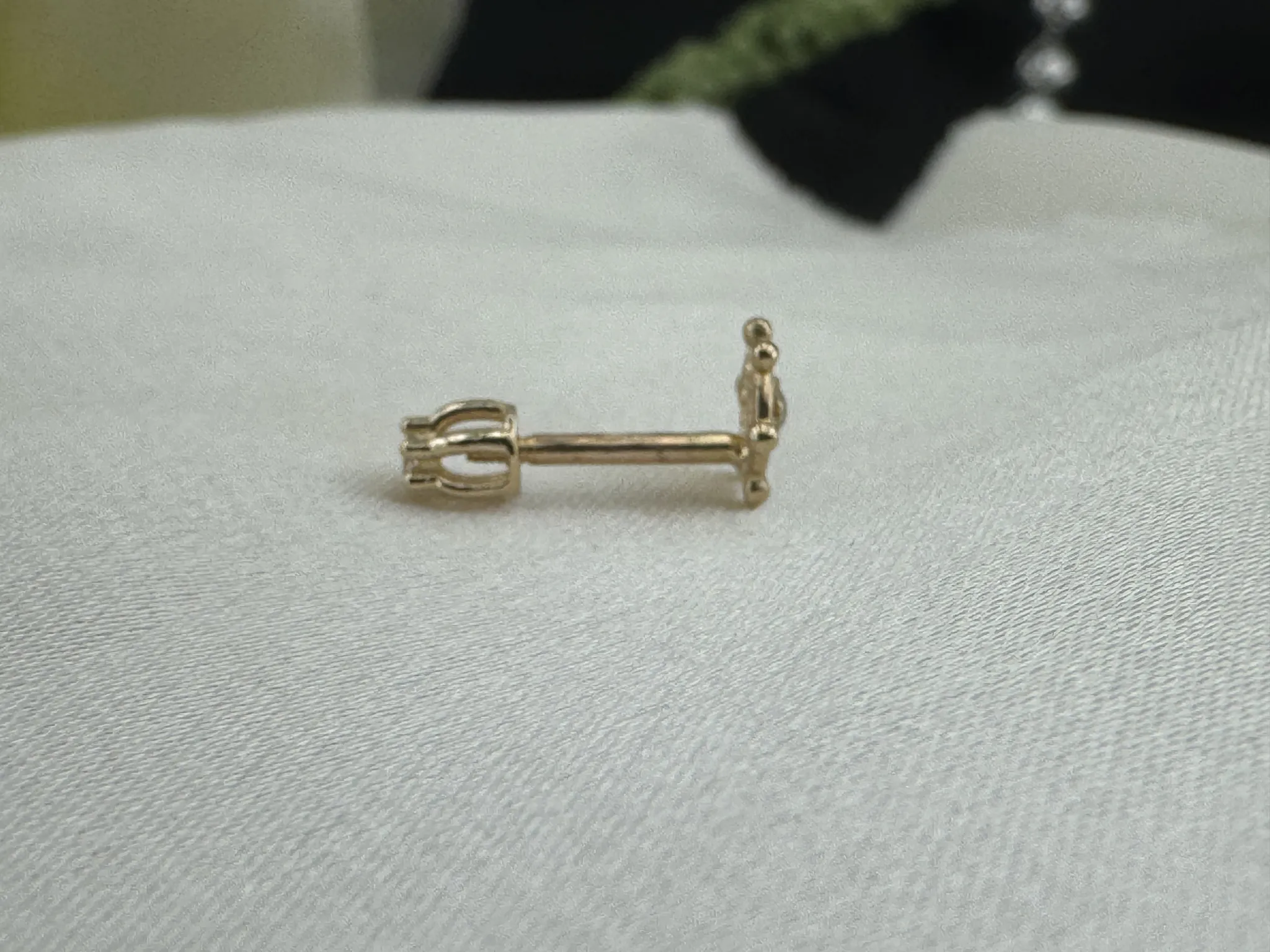 Taşlı Gemi Dümeni Tragus